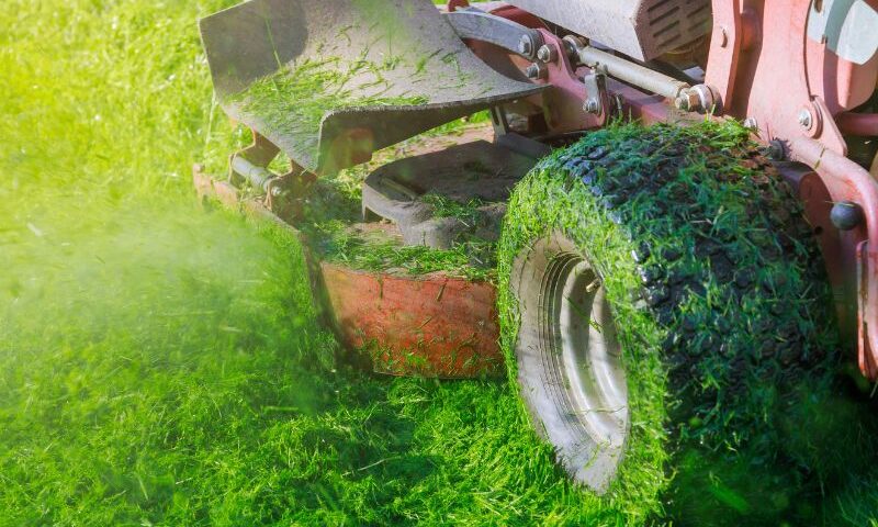 Commercial Grounds Maintenance