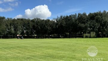 Florida Landscape Contractors