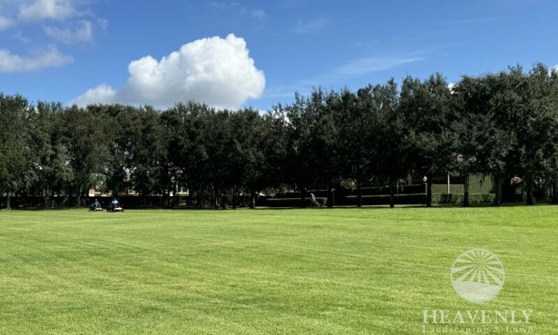 Florida Landscape Contractors