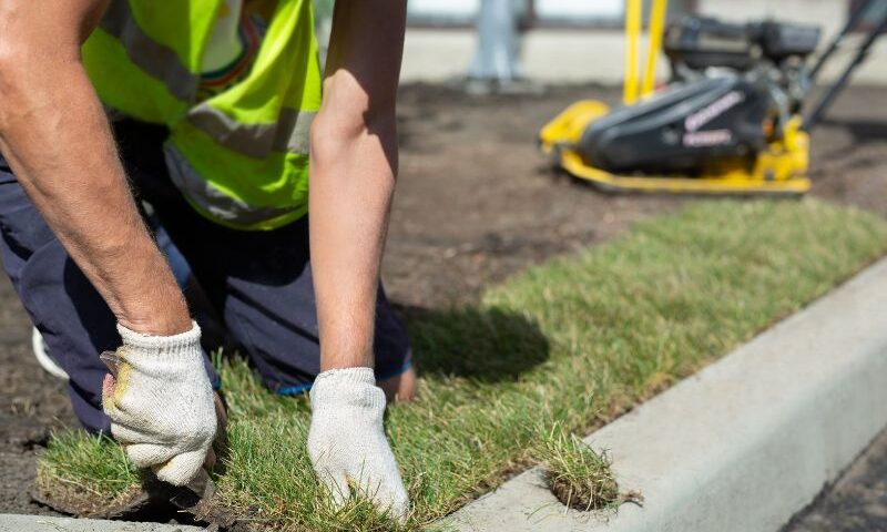 Professional Sod Installation